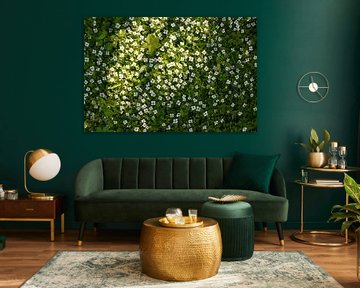 A field of wildflowers in spring