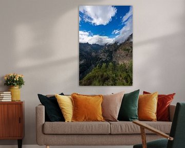 Madère Sunny Side épisode 8