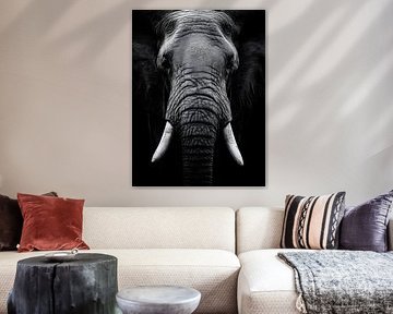 Eléphant majestueux en noir et blanc sur drdigitaldesign