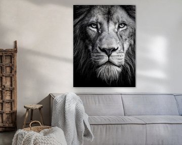 Le roi du silence - Portrait de lion en noir et blanc sur drdigitaldesign