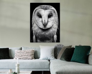 Chouette effraie - Regard silencieux de la nuit sur drdigitaldesign