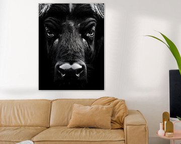 Büffel – Kraft und Stille im Schwarzweiß von drdigitaldesign