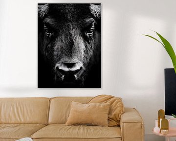 Büffel – Kraft und Stille im Schwarzweiß von drdigitaldesign