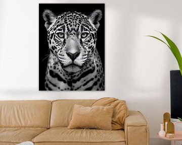Léopard - Élégance et focalisation en noir et blanc sur drdigitaldesign