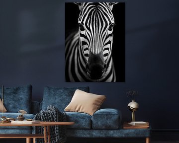 Zebra – Grafische Eleganz im Schwarzweiß von drdigitaldesign