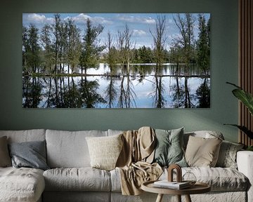 Buitenpolder Munnikenland in Poederoijen von Frank Lavooij