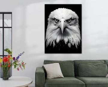 Eagle - Majestic view in black and white