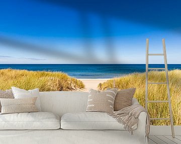 Path to the beach in the Baltic seaside resort of Dierhagen on the Baltic Sea by Werner Dieterich