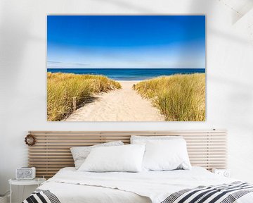 Path to the beach in the Baltic seaside resort of Dierhagen on the Baltic Sea by Werner Dieterich