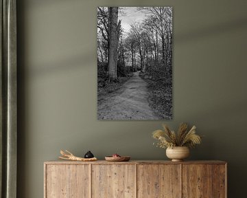 Photo en noir et blanc d'un sentier de randonnée sur Brian Bonckaert Fotografie