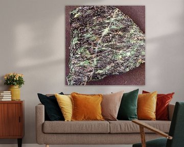 Roche métamorphique à texture de schiste à chlorite verte et biotite noire sur de-nue-pic