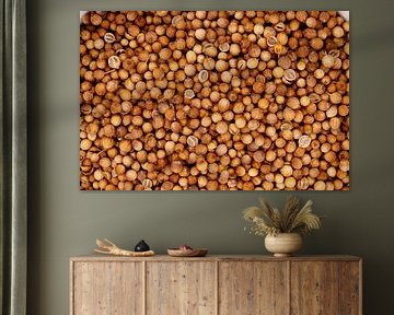 Graines de coriandre créant un assaisonnement épice texture arrière-plan sur de-nue-pic