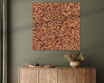 Les graines de cumin créent un arrière-plan texturé d'épices sèches. sur de-nue-pic