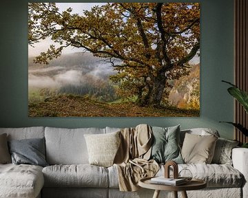 Point de vue Burgstall près de Fridingen avec vieux chêne et vue sur la vallée du Danube avec les derniers restes de brouillard - Parc naturel du Haut-Danube sur BlattArt - Christine Horn