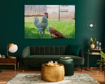 Weißer Hahn und braune Henne auf grünem Gras von de-nue-pic