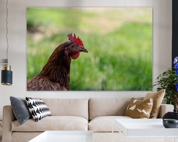 Braunes Huhn mit Kopf und Oberkörper im grünen Feld von de-nue-pic