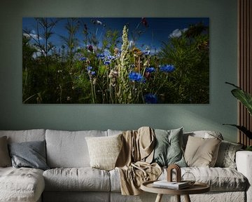 Summer by Frank Lavooij