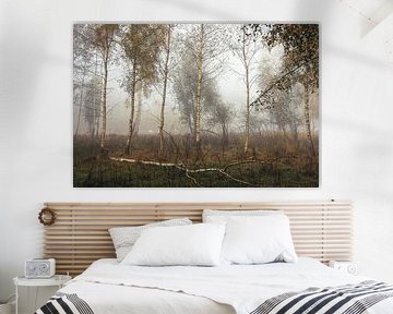 Uferlandschaft Schwackenreuter Seen im Nebel mit Birken und Schwänen - Mühlingen von BlattArt - Christine Horn