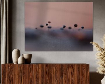 Small antennas by Angelique Raaijmakers