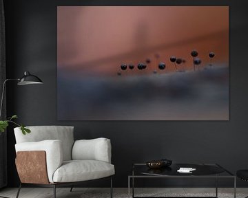 special picture by Angelique Raaijmakers