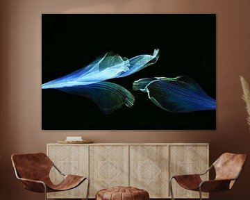 Pacman von Christine de Vogel