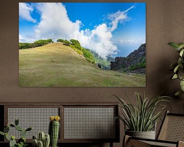 Madeira-Episode: Die Episode, in der es aussah wie das Hintergrundbild von Windows XP von Bfec.nl