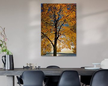 Herbststimmung am Simssee von Ken Kühlbrandt