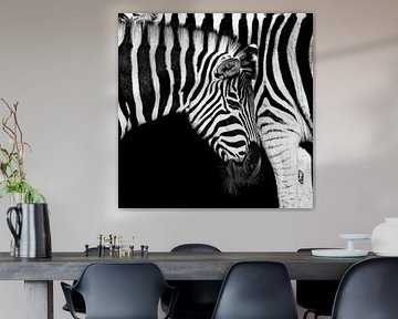 Stripes within stripes by Ken Kühlbrandt