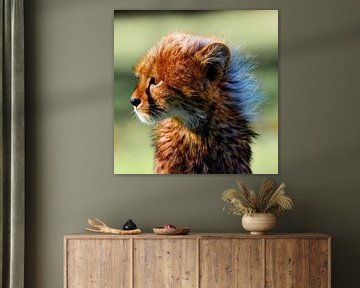 Kleine Katze von Ken Kühlbrandt