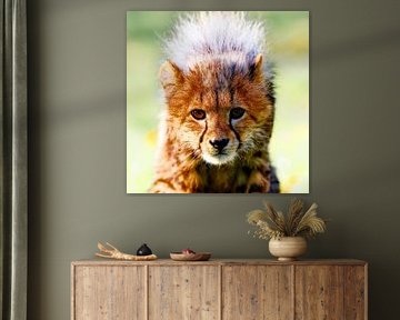 Kleine Katze von Ken Kühlbrandt