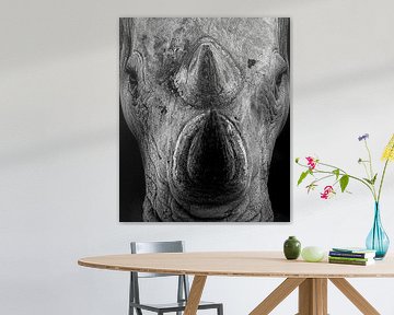 Rhinoceros by Ken Kühlbrandt