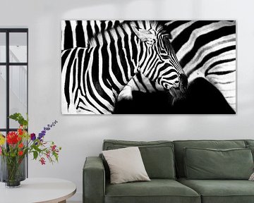 Stripes within stripes by Ken Kühlbrandt