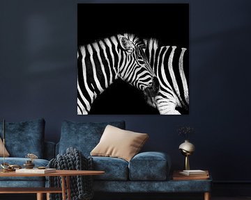 Stripes within stripes by Ken Kühlbrandt