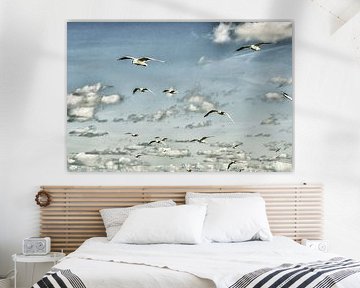 Flying seagulls in the sky by Patricia Hofmeester