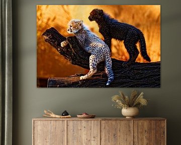 Young cheetahs by Ken Kühlbrandt