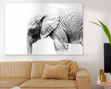 small elephant by Ken Kühlbrandt