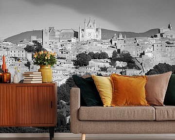 Panorama van Orvieto in Zwart-Wit
