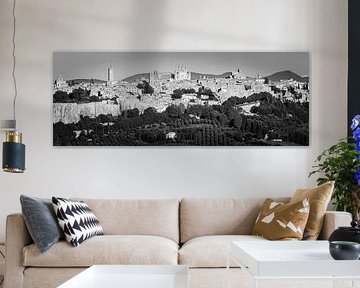 Panorama of Orvieto in Black and White by Henk Meijer Photography