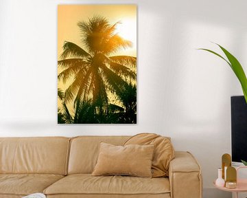 Palmtree in Vietnam sur Gijs de Kruijf