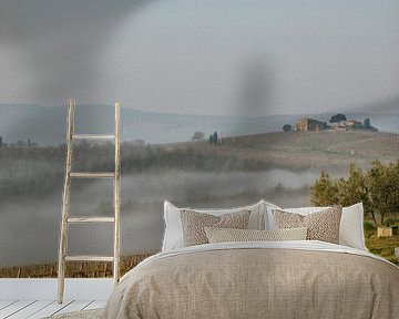 Mist boven de wijngaard in Umbrië