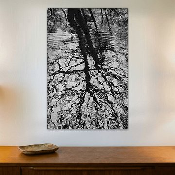 ARBRES EN MIROIR 02