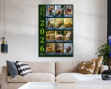 Kalender Pilze 2026 deutsche Version von Max Steinwald