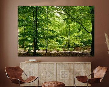 Light in the forest by Corinne Welp