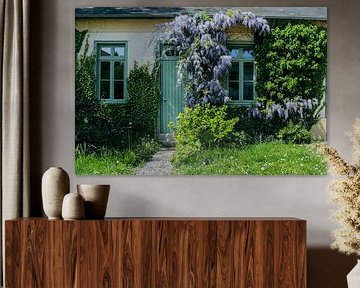 Wisteria by Yvonne Blokland