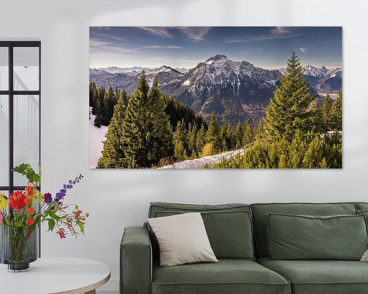 Aperçu de la chambre