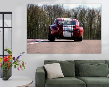 SHELBY COBRA von David BILIEN