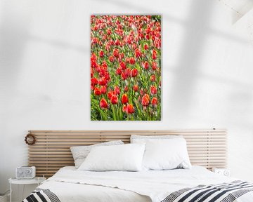 Tulips are sprinkled in the Northeast Polder by Frans Lemmens