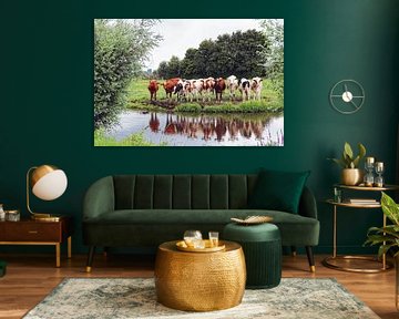 cows by Yvonne Blokland