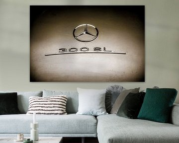 MERCEDES 300 SL GULLWING von David BILIEN