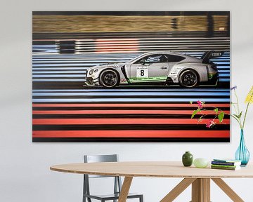 BENTLEY CONTINENTAL GT3 PAUL RICARD sur David BILIEN